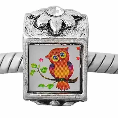 2 Sides Photo of Owl on Bead Compatible for Most European Snake Chain Bracelet with  Crystal Stones For Snake Chain Charm Bracelet